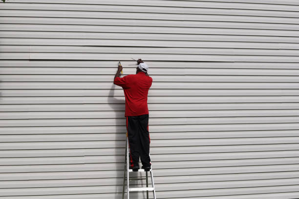 Best Steel Siding Installation  in Virginia, MN